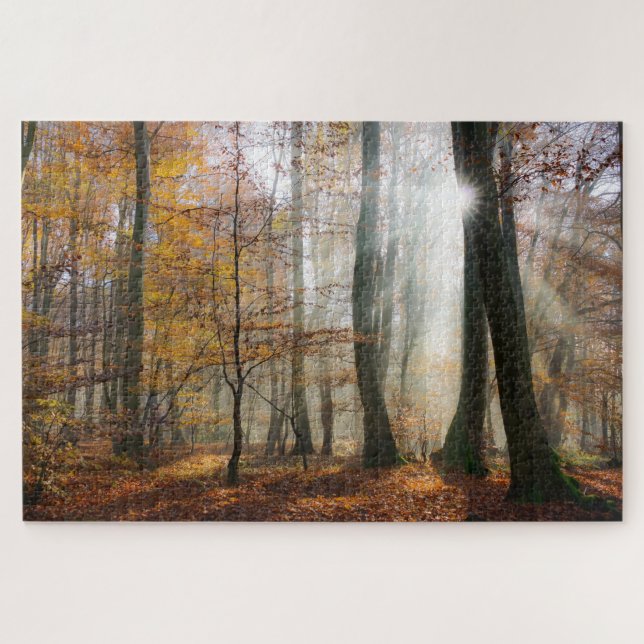 Sun Rays Mystic Misty Forest (Horizontal)