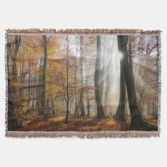 Sun Rays Mystic Misty Forest Blanket Decke (Vorderseite)