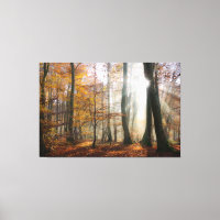 Sun Rays Mystic Misty Forest Wrapped