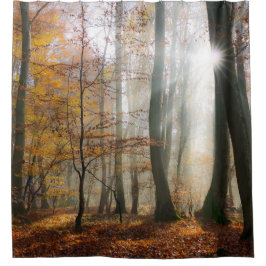Sun Rays mystischen nebelhaften Waldduschvorhang Duschvorhang