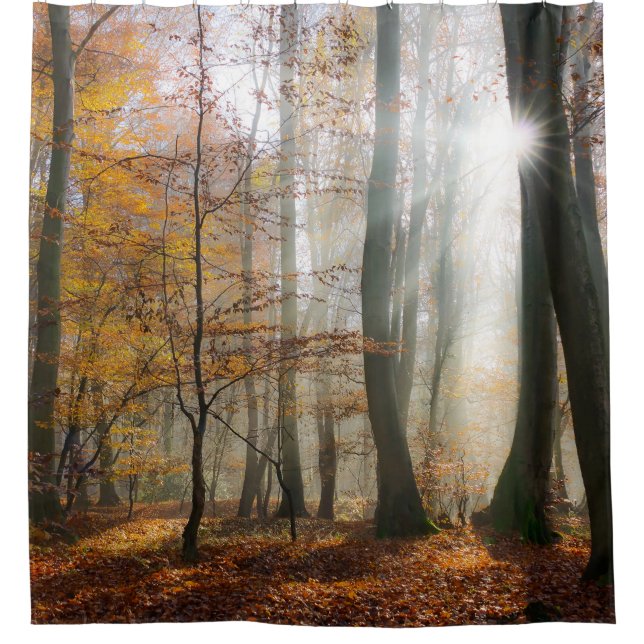 Sun Rays mystischen nebelhaften Waldduschvorhang Duschvorhang (Vorderseite)