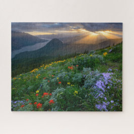 Sun Rays Shine auf Wildblumen auf dem Hundberg