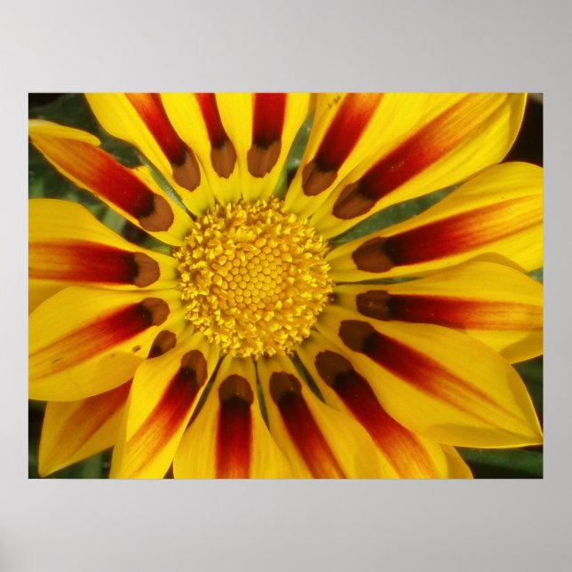 Sun Shine Poster (Vorne)