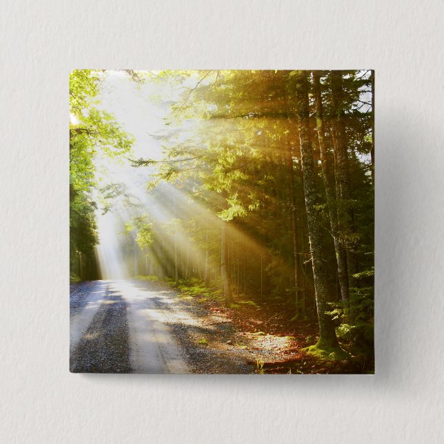 Sun-Strahlen durch Wald im Acadia-Nationalpark Button (Vorderseite)
