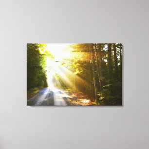 Sun-Strahlen durch Wald im Acadia-Nationalpark Leinwanddruck