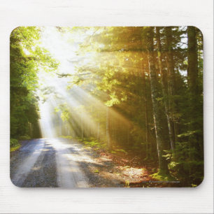 Sun-Strahlen durch Wald im Acadia-Nationalpark Mousepad