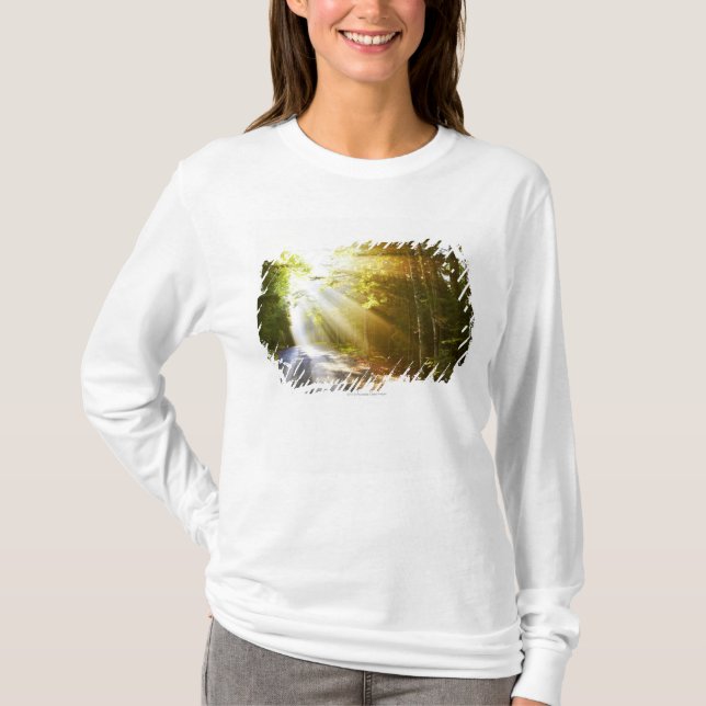 Sun-Strahlen durch Wald im Acadia-Nationalpark T-Shirt (Vorderseite)