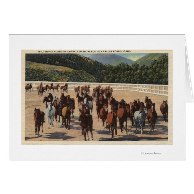 Sun Valley, ID - Wild Horse Roundup (Vorderseite (Horizontal))