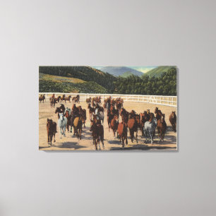 Sun Valley, Identifikation - wildes Leinwanddruck