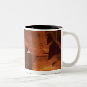 Sunbeam, der Tumbleweed auf Schluchtboden schlägt Zweifarbige Tasse