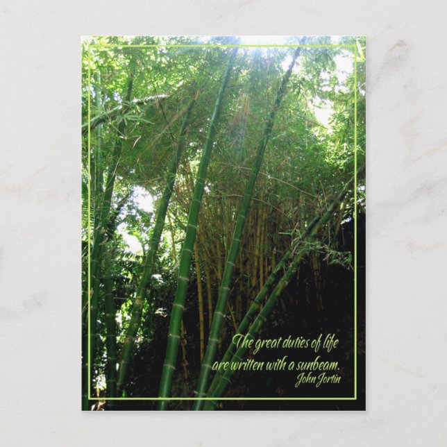 Sunbeam Postkarte (Vorderseite)