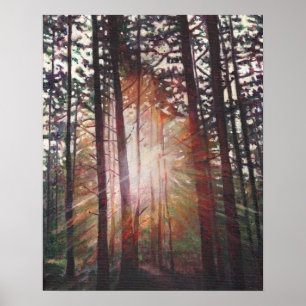 Sunburst 2010 poster