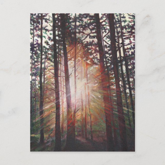 Sunburst 2010 postkarte (Vorderseite)