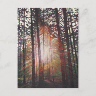 Sunburst 2010 postkarte