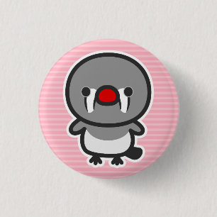 Sunda zebra Finish Button