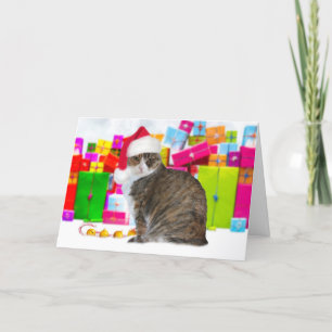 Sundae, die Weihnachtskatze Karte