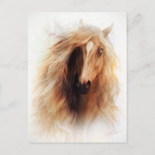 Sundance Mustang Portrait Postkarte