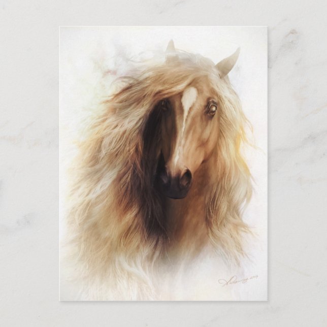 Sundance Mustang Portrait Postkarte (Vorderseite)