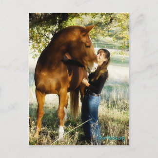 Sundance Stormy Postcard Postkarte