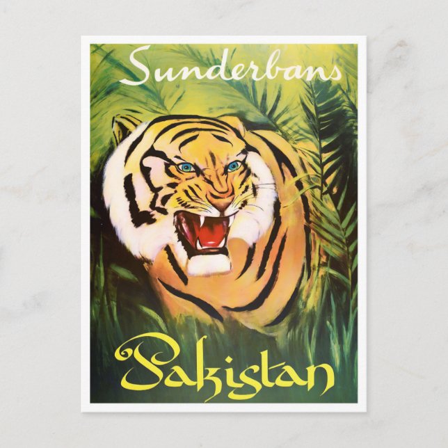 Sunderban Nationalpark Pakistan Jahrgang Reise Postkarte (Vorderseite)