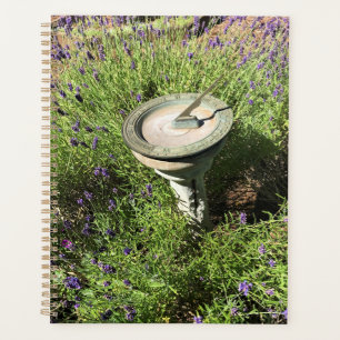 Sundial in Lavendel Planer