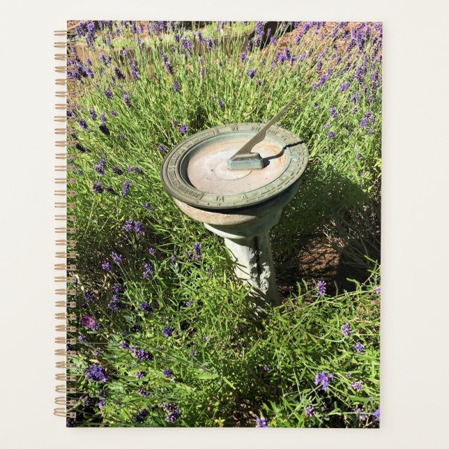 Sundial in Lavendel Planer (Vorderseite)
