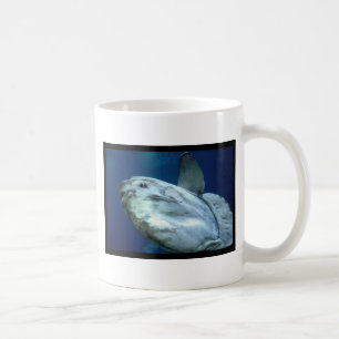 SunfishMolaMola 001 Kaffeetasse
