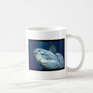 SunfishMolaMola 001 Kaffeetasse