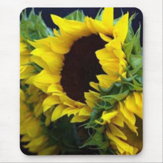 Sunfllower Studie durch debbieophotography Mousepad