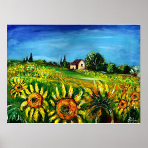 SUNFLOW UND LAND IN TUSKANIEN, kolossal Poster