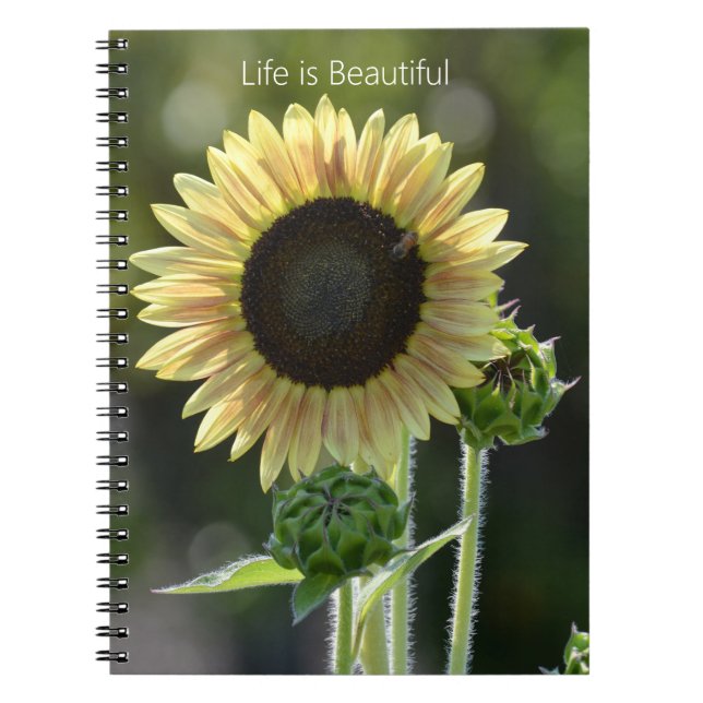 Sunflower Bee (my photography) Notizblock (Vorderseite)