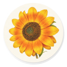 Sunflower Bloom Small Round Garden Flower Sticker