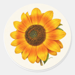 Sunflower Bloom Small Round Garden Flower Sticker