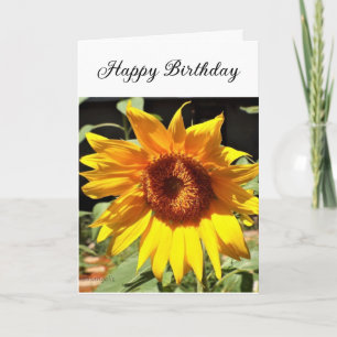 Sunflower Bonne carte de voeux d'anniversaire