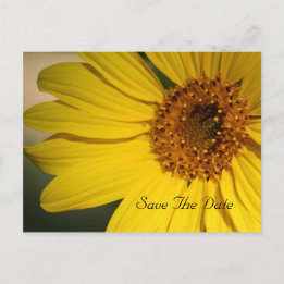 Sunflower Enregistrer la date Carte postale