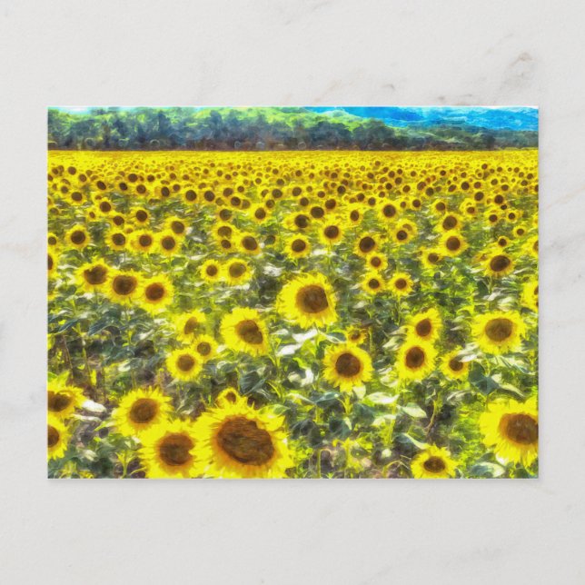 Sunflower Field Vincent Van Gogh Postkarte (Vorderseite)