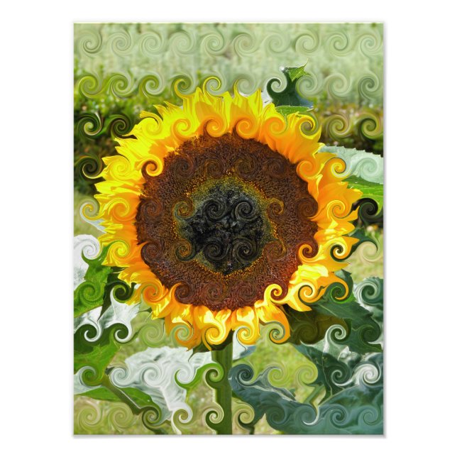 SUNFLOWER FOTODRUCK (Vorne)