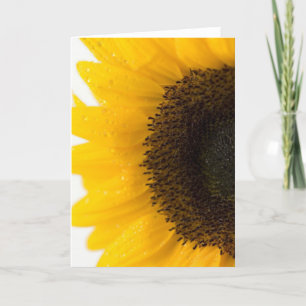 sunflower karte