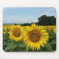 Sunflower Mousepad