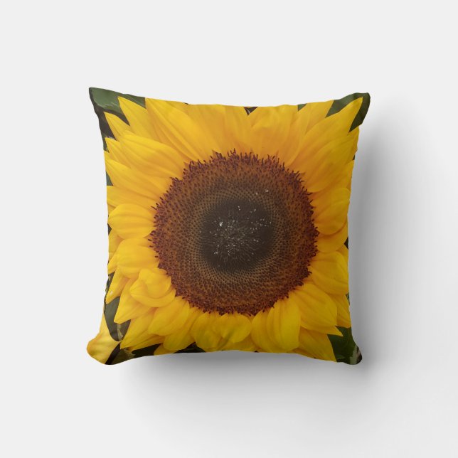 Sunflower Photographie Coussin floral (Recto)
