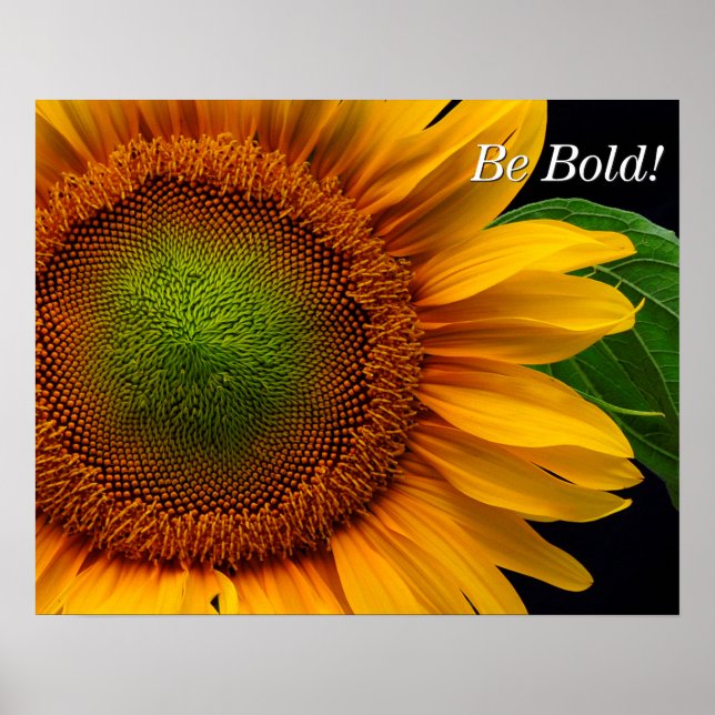 Sunflower Poster (Vorne)