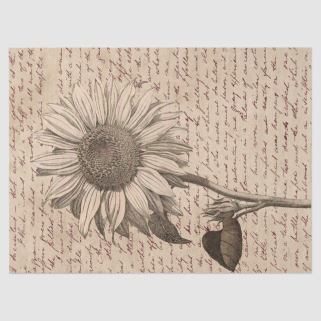 Sunflower Script Ephemera Decoupage Seidenpapier (Vorderseite)