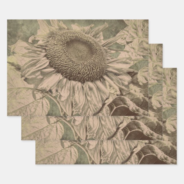 Sunflower Sepia Tone Brown Art Texture Decoupage Geschenkpapier Set (Set)