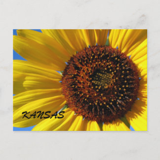 SUNFLOWER-STAAT POSTKARTE