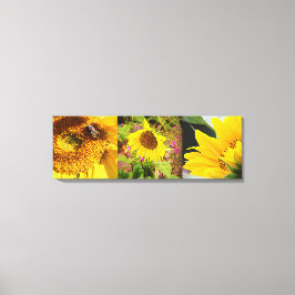 Sunflower Trio Leinwanddruck