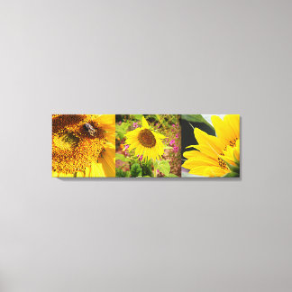 Sunflower Trio Leinwanddruck