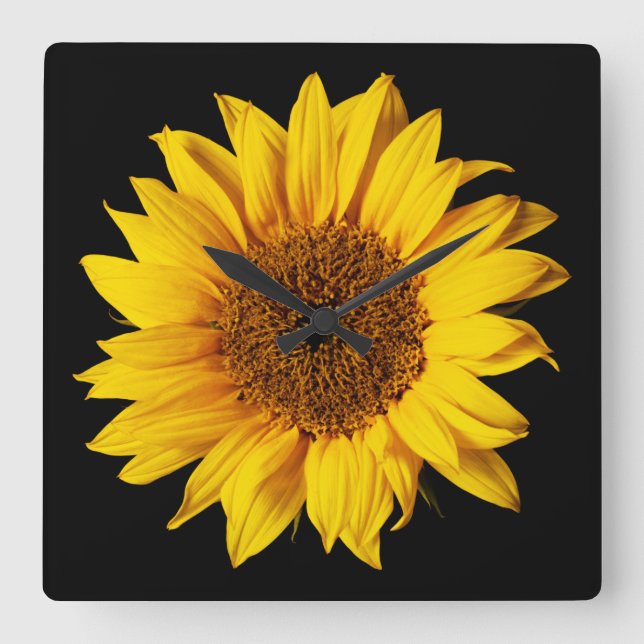 Sunflower Yellow on Black - Customized Sun Flowers Quadratische Wanduhr (Vorderseite)