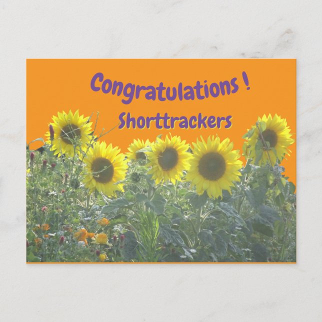 Sunflowers Congratulations Cust. Text Postcard Postkarte (Vorderseite)