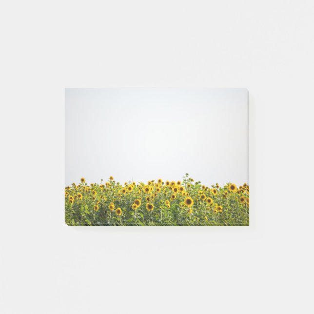 Sunflowers in Field Post-it Klebezettel (Vorderseite)