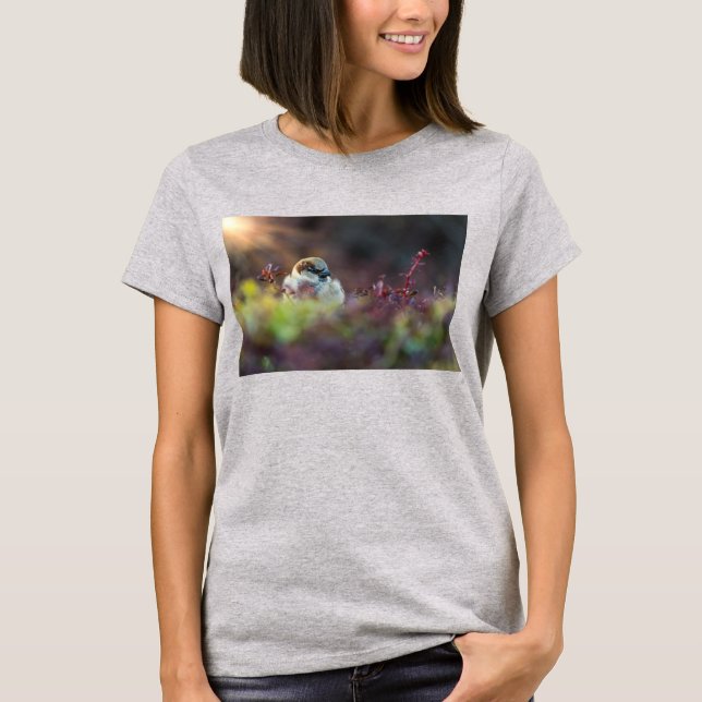 Sunlight Bathing Finch T - Shirt (Vorderseite)